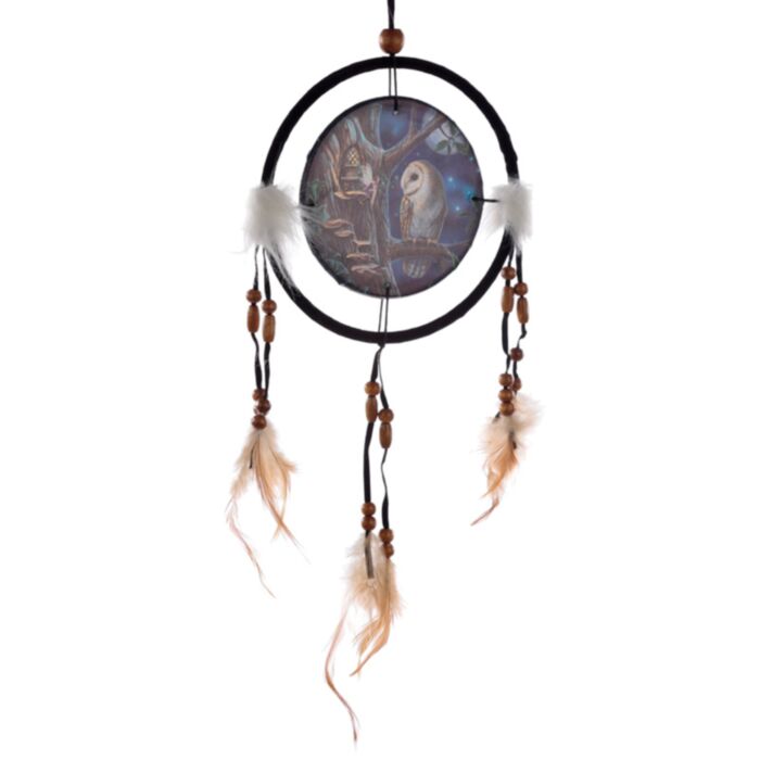 Lisa Parker Sprookjes Uil & Fee Dromenvanger 16cm