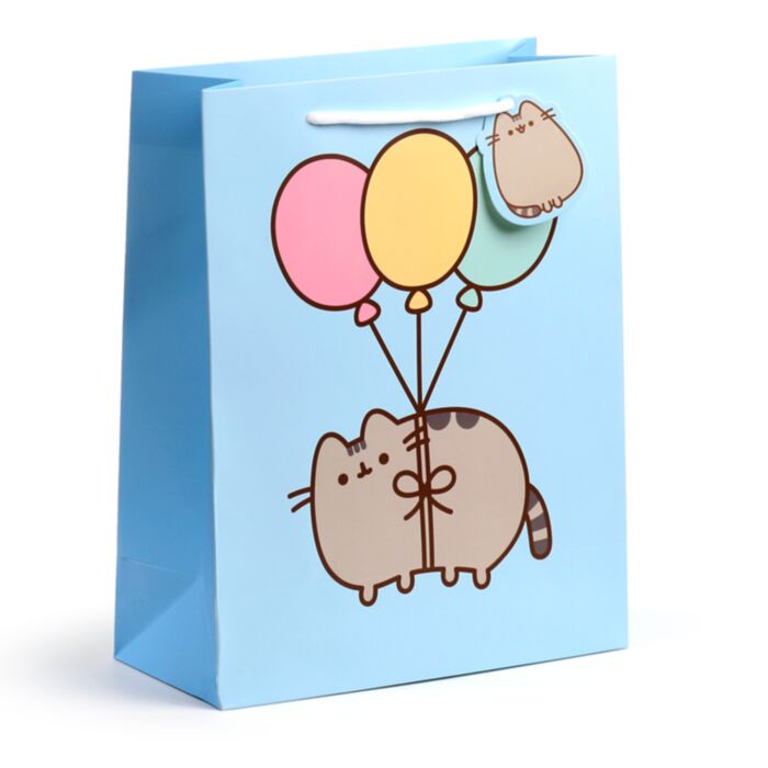 Pusheen de Kat Balonnen - Cadeautasje Large