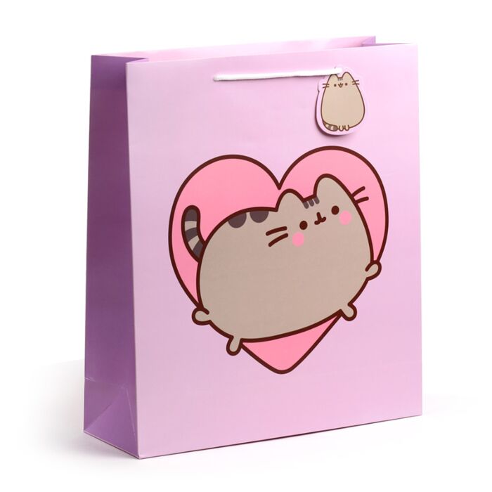 Pusheen de Kat Hart Cadeautasje XL