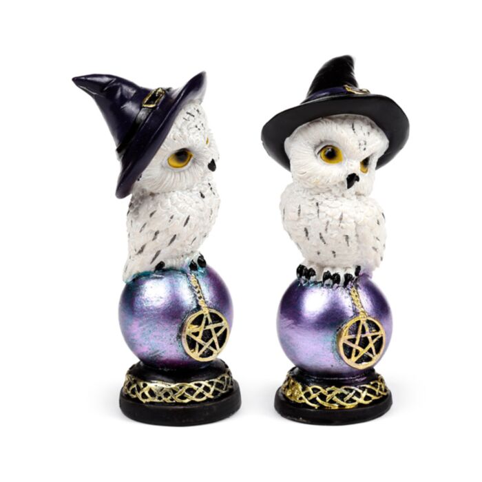Wise Old Magical Owl op regenboogglans Uil