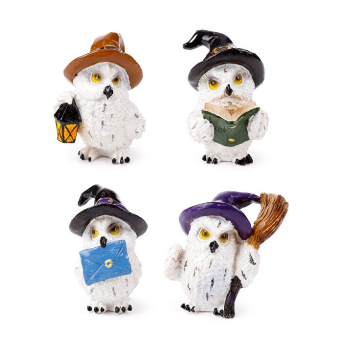 Wise Old Magical Owl Betoverde Leerling