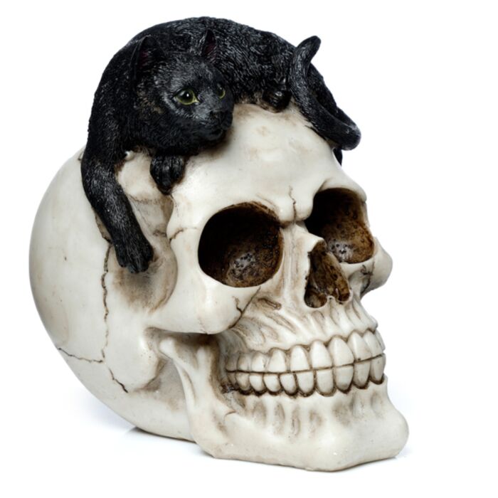 Schedel met Zwarte Kat Woonaccessoire