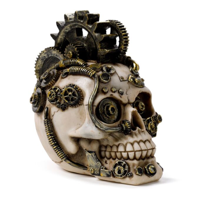 Steampunk Stijl Schedel met Tandwielen en Veren Woonaccessoire