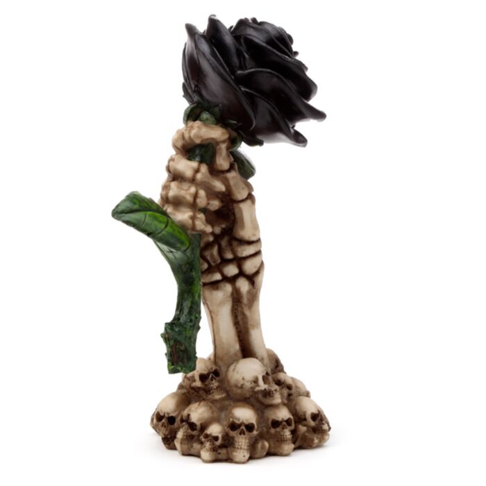 Skelet Hand Houdt Zwarte Roos Woonaccessoire