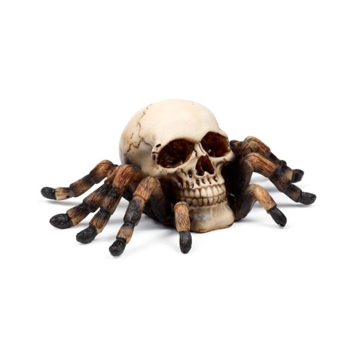 Schedel met Spinnenpoten
