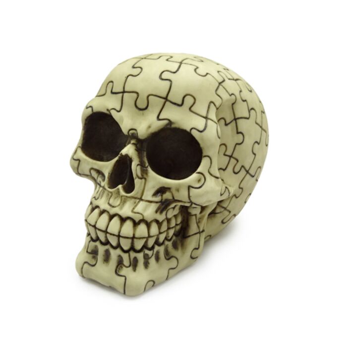 Schedel met Legpuzzel patroon