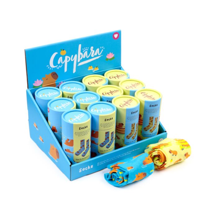 Capybara Sokken in een Tube