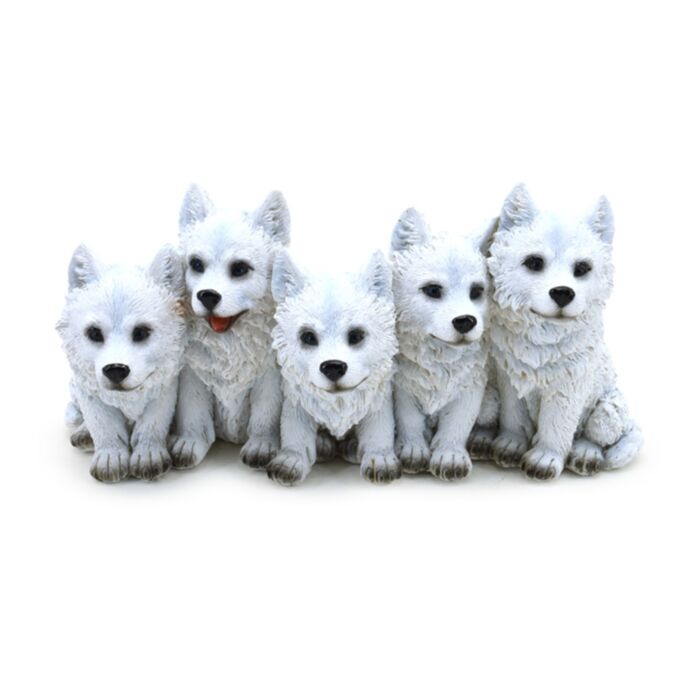 5 Ontdeugende Wolf Puppies