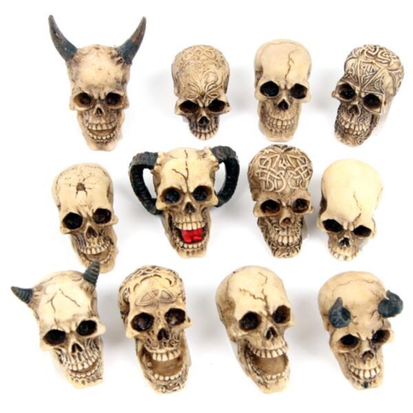 Schedel Miniatuur Beeldjes