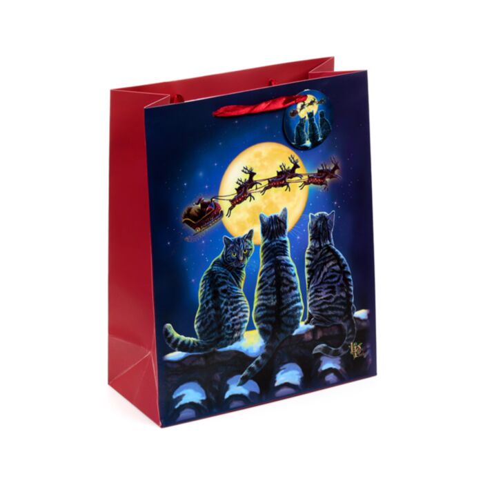 Lisa Parker Kerstmis Katten Cadeautasje Large