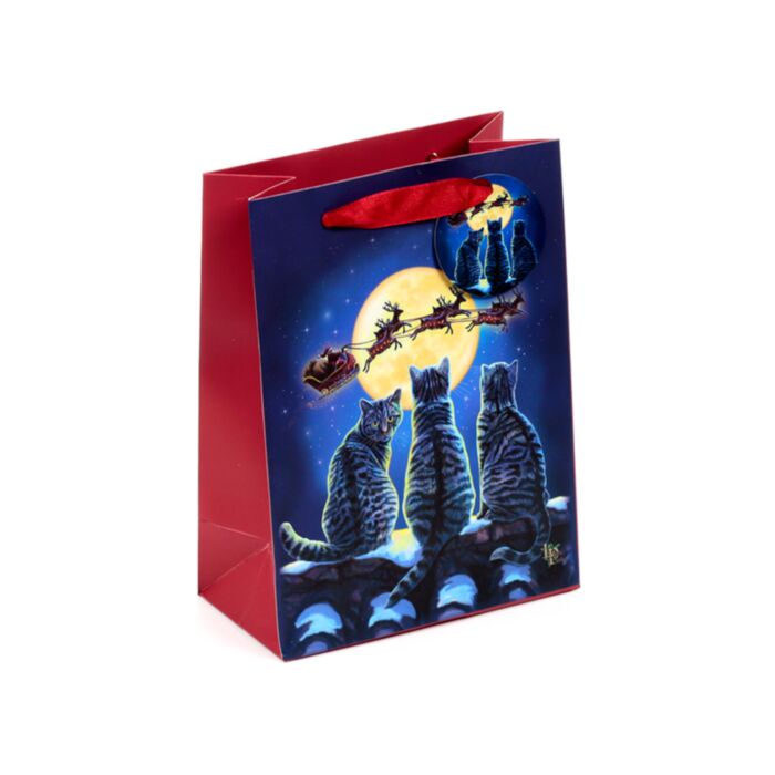 Lisa Parker Kerstmis Katten  - Cadeautasje Medium