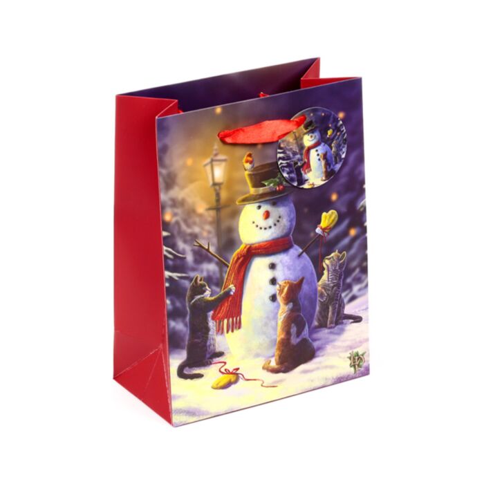 Lisa Parker Kerstmis Katten - Cadeautasje Medium