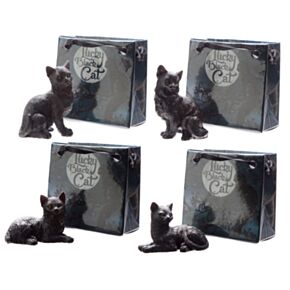 Zwarte Gelukskat in mini cadeautasje
