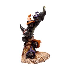 Heksen Zwarte Kat Climbing Broomstick