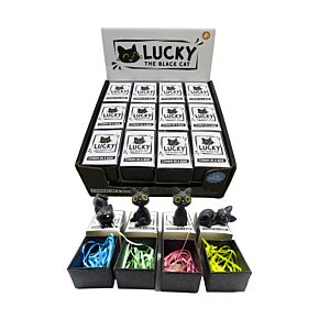 Lucky de Zwarte Kat  Charm in doosje