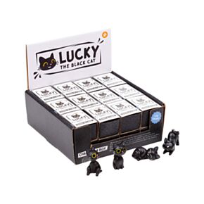 Lucky de Zwarte Kat  Charm in doosje