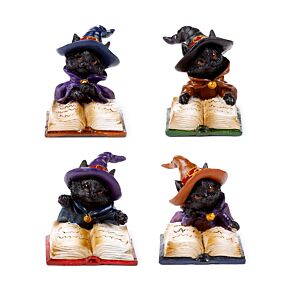 Heksen Zwarte Kat leest spreukenboek