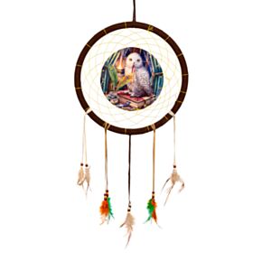 Lisa Parker Wachter van Spreuken Uil Dromenvanger 33cm