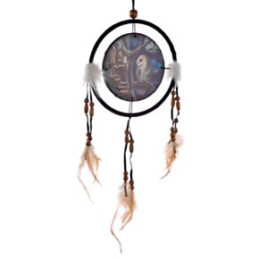 Lisa Parker Sprookjes Uil & Fee Dromenvanger 16cm