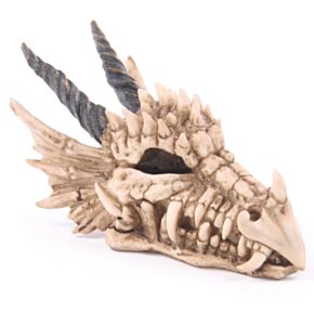 Draken Schedel Spaarpot