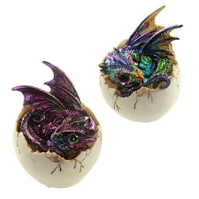 Betoverde Dromen Draak -  Kinderen van de Toekomst