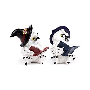 Wise Old Magical Owl lees spreukenboeken