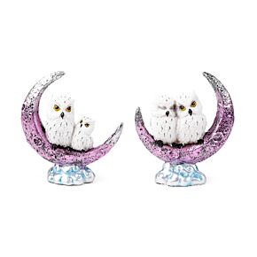 Wise Old Magical Owl Halve Maan