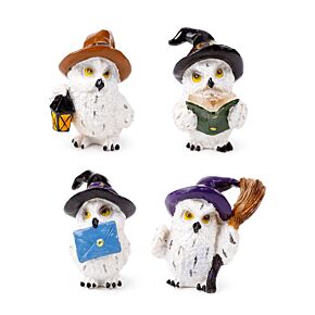 Wise Old Magical Owl Betoverde Leerling