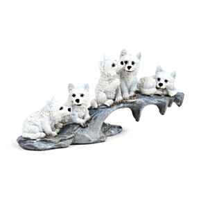 Wolf Puppies spelen op rots