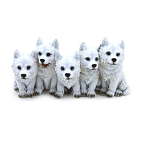 5 Ontdeugende Wolf Puppies