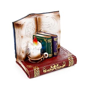 Witches Black Cat & Wise Old Magical Owl LED Display