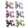 Kikker Dierenknuffels Zanddieren  30cm