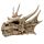 Draak Schedel Decoratie