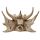 Draak Schedel Decoratie