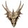 Draak Schedel Decoratie