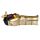 Egypte -Anubis Sarcofaag met Mummie