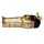 Egypte -Anubis Sarcofaag met Mummie