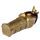 Egypte -Anubis Sarcofaag met Mummie