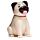 Mopps Pug Zonnecel Solar Pal Poppetje