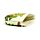 Tropische Kikkers PVC Portomonnee