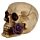 Schedel  Beenderen met Paarse Rozen Woonaccessoire