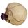 Schedel  Beenderen met Paarse Rozen Woonaccessoire