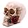 Schedel met Rozen Woonaccessoire