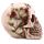 Schedel met Rozen Woonaccessoire
