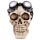 Steam Punk Motorbril Woonaccessoire