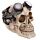 Steam Punk Motorbril Woonaccessoire