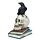 Kraai op Schedels & Boeken Woonaccessoire