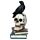 Kraai op Schedels & Boeken Woonaccessoire
