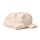 Witte Wolf Keramiek Peper- en Zoutstel