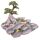 Bloemen Feeën Collector's Wereld Diplay